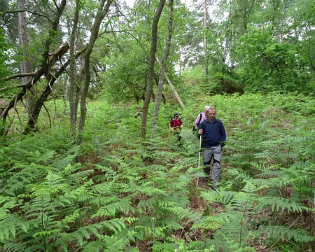 PXL098 ... certaines font 2 mètres, si si ...