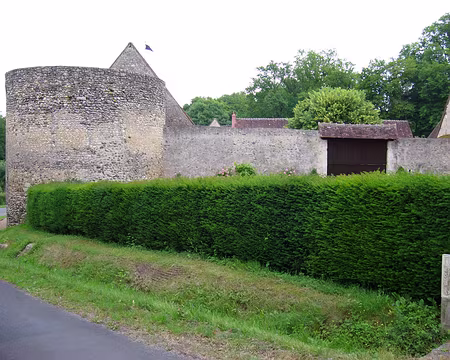 P1000783z696 Muraille personnelle.