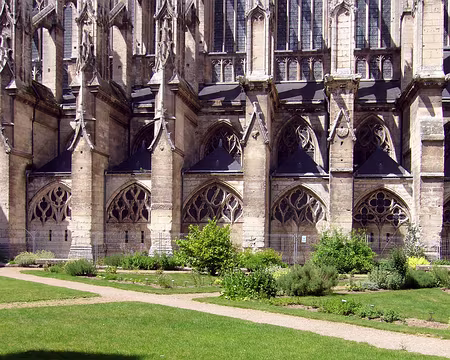 P1000798 Vert en envers.