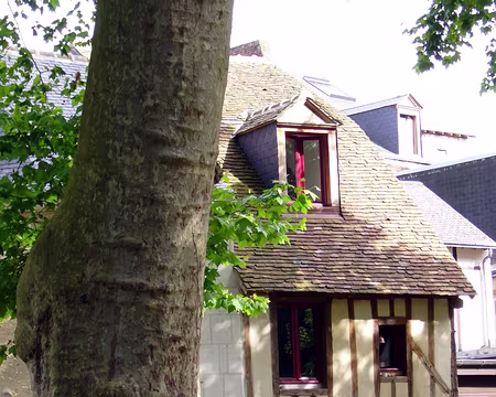 P1000818 Normande ou alsacienne ?