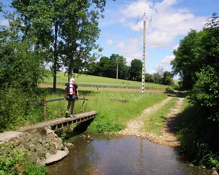 P6130009 O. traverse la riviére impétueuse