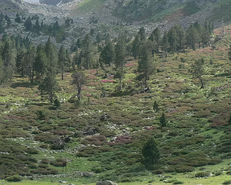 13 Refuge des Cortalets