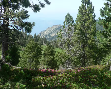 17 Refuge des Cortalets