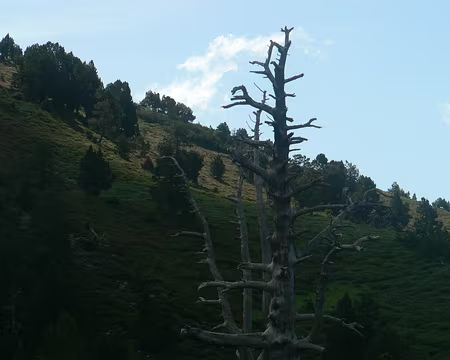 18 Refuge des Cortalets