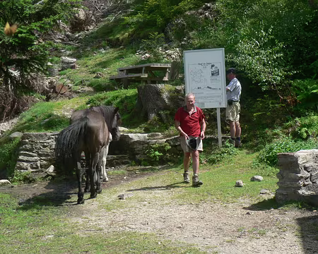 29 Balcons du canigou