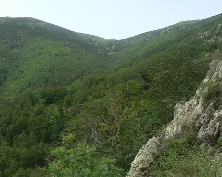 45 Ancienne voie férrée