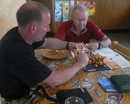 50 Une petite cuisine de girolles 1522m