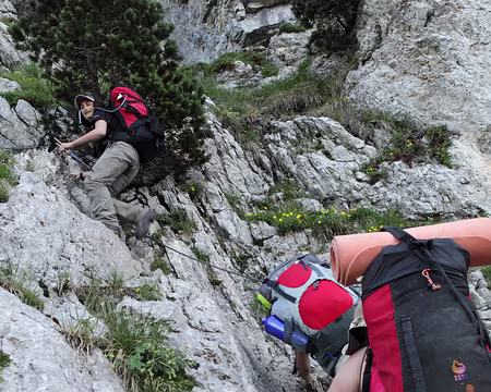 IMG_4946 Nous, c'est par là !