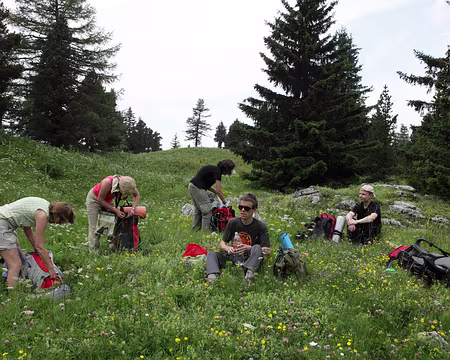IMG_5012 Salle à manger fleurie !