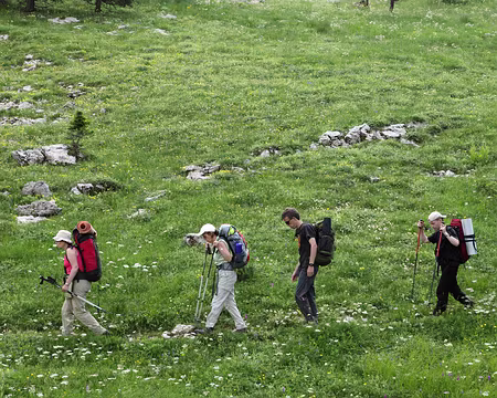 IMG_5014 A la recherche...