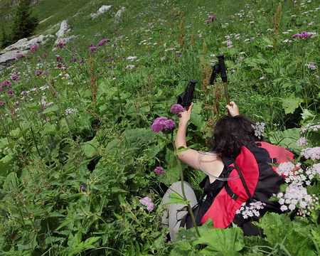 IMG_5037 Attention, ça glisse un peu... !