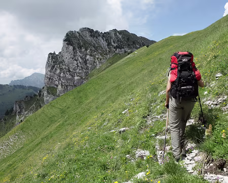 IMG_5041 Pas de chemin ? ben non, et alors ?