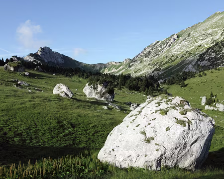 IMG_5113 Lendemain matin,