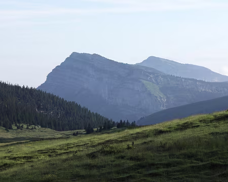 IMG_5120 mais réchauffe doucement l'herbe encore humide