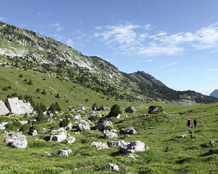 IMG_5128 Le vallon de Marcieu...