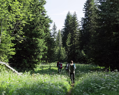IMG_5136 Nous traversons la Réserve Biologique Domaniale de l'Aulp du Seuil