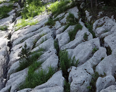 IMG_5144 Lapiaz en losange