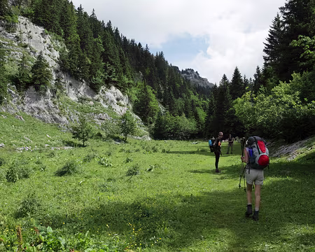 IMG_5170 Nous nous engageons dans le vallon de Pratcel
