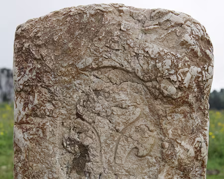 IMG_5199 Côté France,