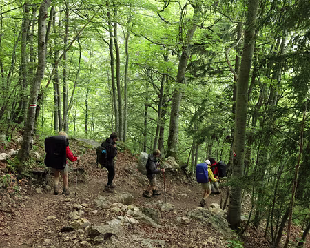 IMG_5339 Descente rapide sous la pluie ! (ça glisse un peu trop...)