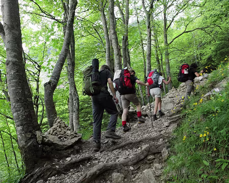 IMG_5358 Lundi, on repart par le même chemin !