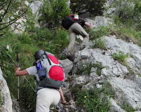 IMG_5400 Ca continue