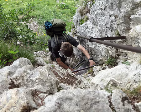 IMG_5408 De plus en plus vertical !