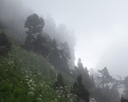 IMG_5424 A force de monter, j'ai des hallucinations !