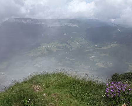 IMG_5458 Au détours d'une touffe de géranium, le paysage se découvre soudain !