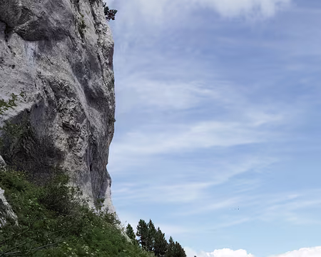 IMG_5604 Descente par le « Pas de la Porte »