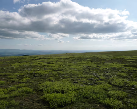 16 Sur le Mont Lozere la terre et le ciel se rencontrent
