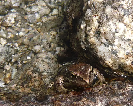 PXL021 Bien planqué