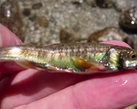 PXL023 Je te relâches après la photo