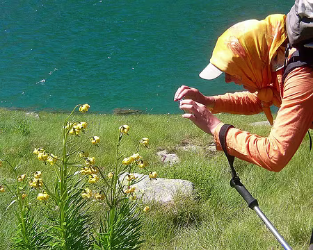 PXL087 Catherine en harmonie