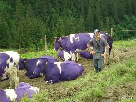 2009-07 Suisse - Gruyere