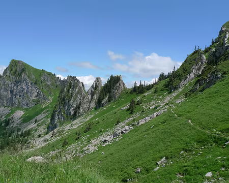 003 Premier décor, près des Rochers de Naye.