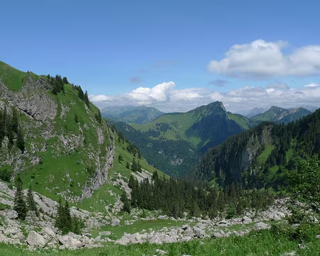 004 Près des Rochers de Naye.
