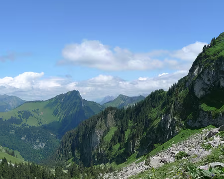 005 Près des Rochers de Naye.
