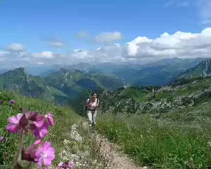 009 Sur les chemins fleuris des Alpes fribourgeoises.