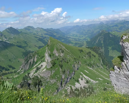 010 Le sud-ouest des Alpes fribourgeoises.