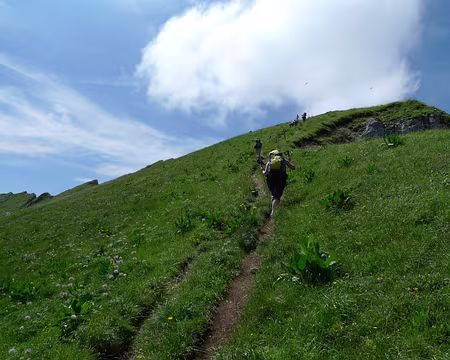011 Rude montée sur les Rochers de Naye.