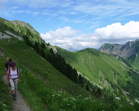 015 En descendant des Rochers de Naye