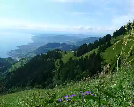 016 Vue sur la rive suisse du lac Léman.