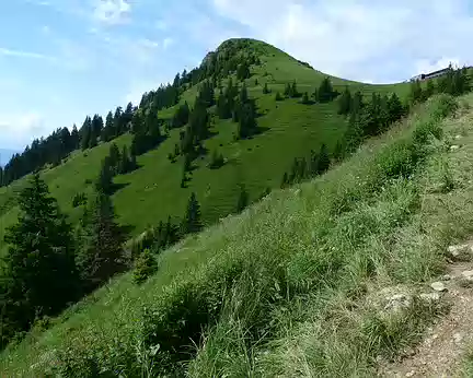 017 Pentes gazonnées bien vertes parsemées de bosquets de conifères : nous sommes bien dans la moyenne montagne suisse !