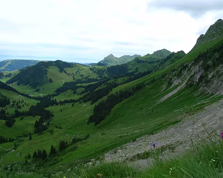 033 Un vrai jardin d'agrément !