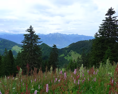 034 Un vrai jardin d'agrément !