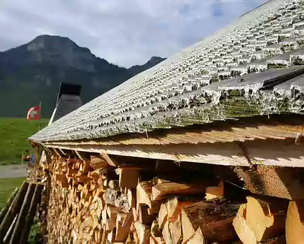 050 L'art des toits en bois.