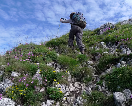 056 Fleurs multicolores, rocailles et ciel bleu moutonné. Une belle journée !