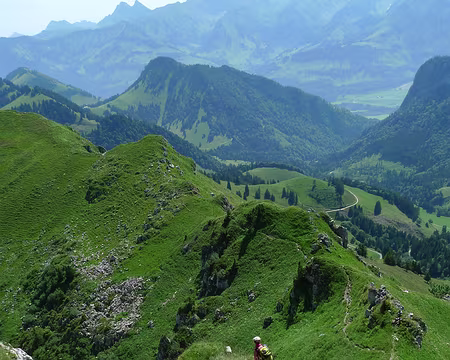 061 Descente raide sur la crête.