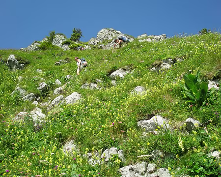 062 Descente raide sur la crête.